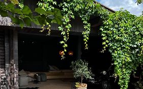 Tini House